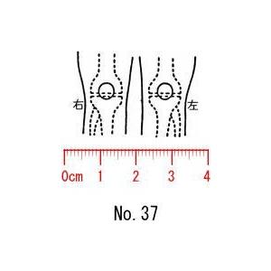 人体図　医療用　カルテ　【膝　前】37/スタンプ/ゴム印/既製品｜insyoukodawariya