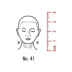 人体図 医療用 カルテ 【顔 A】41/スタンプ/ゴム印/既製品 : 印章