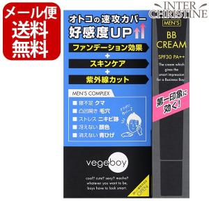 ベジボーイ BBクリーム 20g/メンズ用ファン...の商品画像