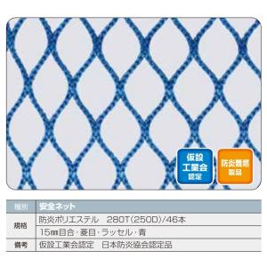 ネット　１０ｍ×５ｍ グリーンネット（養生用）25mm目合 5m×10m（1枚