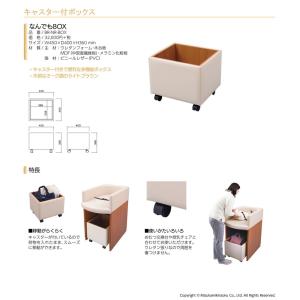 omoio オモイオ なんでもBOX BR-N...の詳細画像1