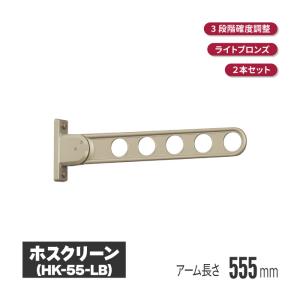 【川口技研】 ホスクリーン RK型 洗濯物干し 2本 セット 窓壁用 物干し金物 A0867 川口技研 ホスクリーン 窓壁タイプ ステンカラー 2本セット rk-55-st