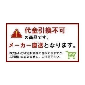 ユニット夏季 ポカリスエット粉末 徳用 10L...の詳細画像1