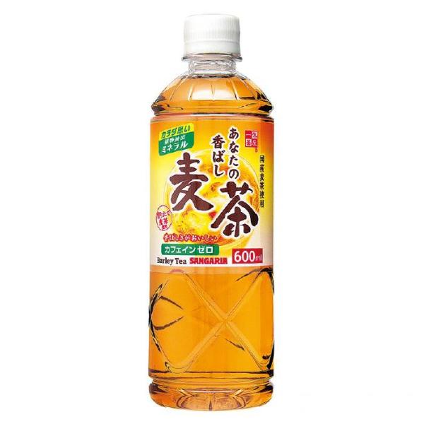 昭和商会 あなたの香ばし麦茶 600ml 24本入×2箱セット N23-46 （法人・個人事業主様限...