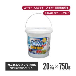 昭和商会 カムカムタブレッツBIG(2024年版) 20個セット n24-54-20（法人・個人事業主様限定）｜inter-shop