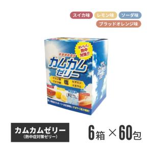 昭和商会 カムカムゼリー 60包入 6箱セット n20-40-06（法人・個人事業主様限定） 冷凍 お菓子 小分け 個包装 凍らせる 塩分補給 塩分 水分 爆買
