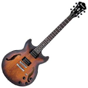 並行輸入品】 Ibanez GIO ステルスシリーズ エレキギター GRGR131EX