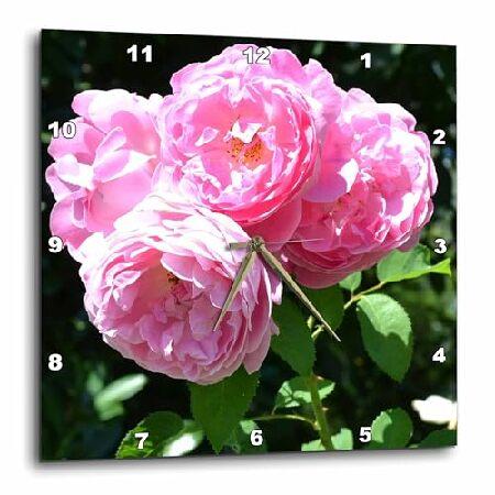 【並行輸入品】 3dRose LLC 美しいピンクのバラの花束 壁掛け時計 10 x 10インチ