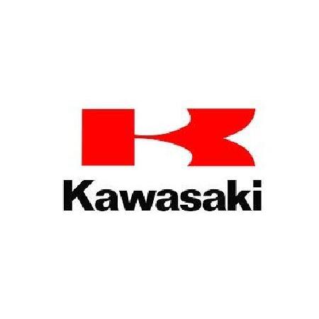【並行輸入品】 Kawasaki 11013-7046 プレフィルター プレミアムエンジン用