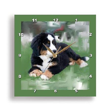 【並行輸入品】 3dRose DPP_4038_2 バーニーズマウンテンドッグ 壁掛け時計 13 x...