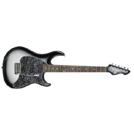 【並行輸入品】 Peavey Raptor Custom Silverburst Electric ...
