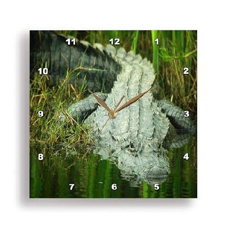 【並行輸入品】 3dRose Florene Animals - Grow Them Big Her...