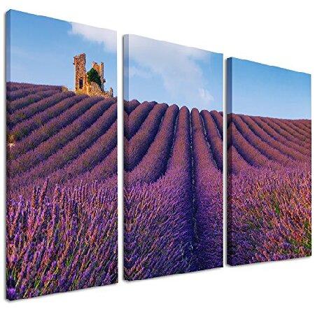 【並行輸入品】 DesignArtパープルラベンダーフィールド風景写真キャンバスプリント 36x28...