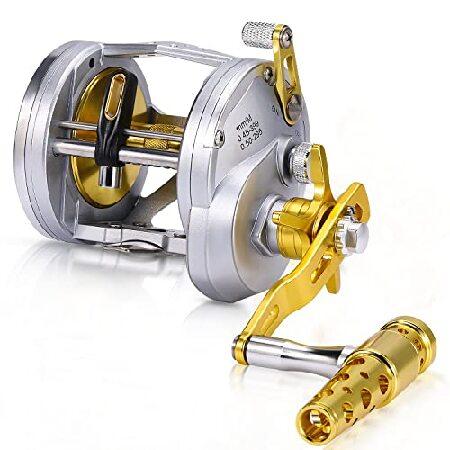 (TA 5000, A-Silver-Gold) - One Bass Fishing Reels ...