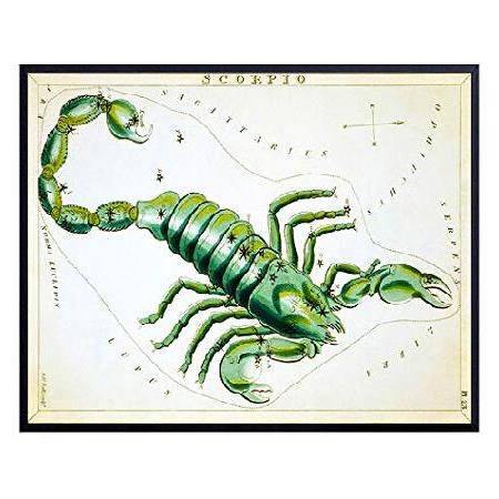 【並行輸入品】 YELLOWBIRD ART ＆ DESIGN Vintage Scorpio As...