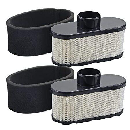 【並行輸入品】 2 Pack Air Filter Cleaner 11013-0752 11013...