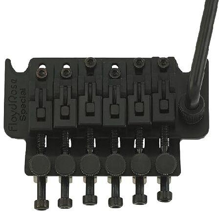 【並行輸入品】 FLOYD ROSE SPECIAL TREMOLO ~ BLACK FRTS200...