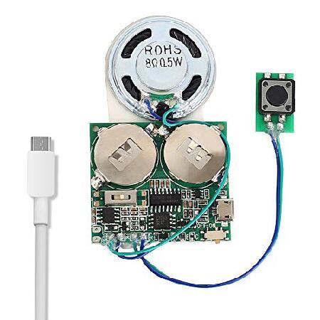 【並行輸入品】 LolyyDens d Module, Icstation 8M USB Progr...