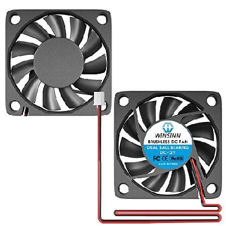 【並行輸入品】 WINSINN DC 60mm ファン 12V 6010 デュアルボールベアリングブ...