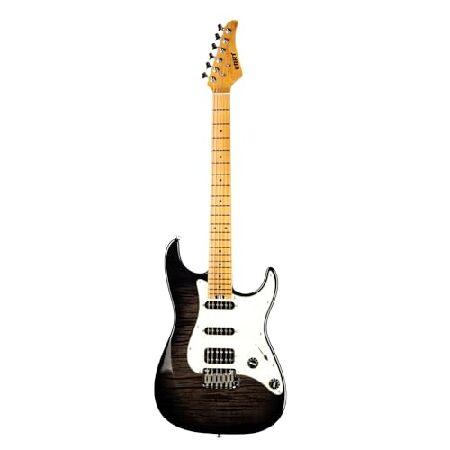 【並行輸入品】 EART NK-C3 Electric Guitar with 6 String M...