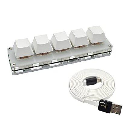 【並行輸入品】 LICHIFIT 5キー ゲーム用キーボード プログラミング マクロキーパッド デー...