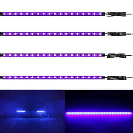 【並行輸入品】 Vbakor 12V Marine Boat Ultra Violet UV Bla...