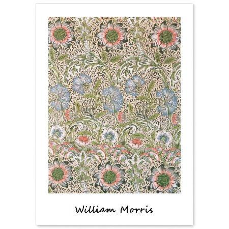 William Morris Poster ” Dianthus japonicus (specie...