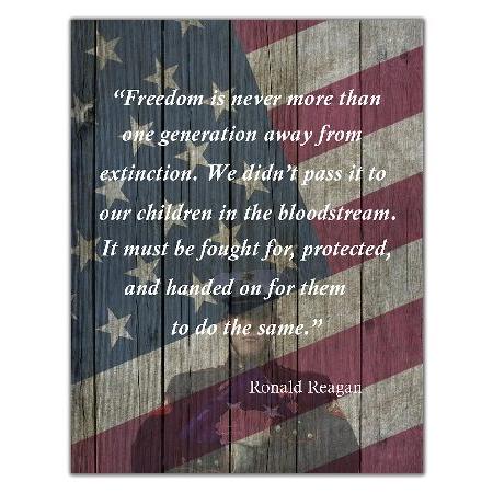 【並行輸入品】 USA Freedom Inspirational print with Quote...