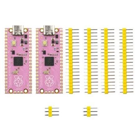 【並行輸入品】 DIGISHUO Raspberry Pi Pico2個 RP2040チップに基づく...