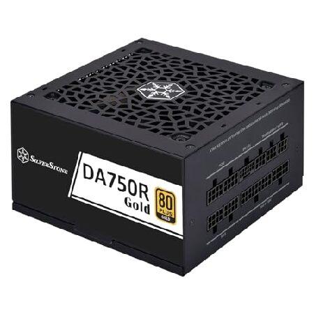 【並行輸入品】 SilverStone Technology DA750R Gold 80 Plus...