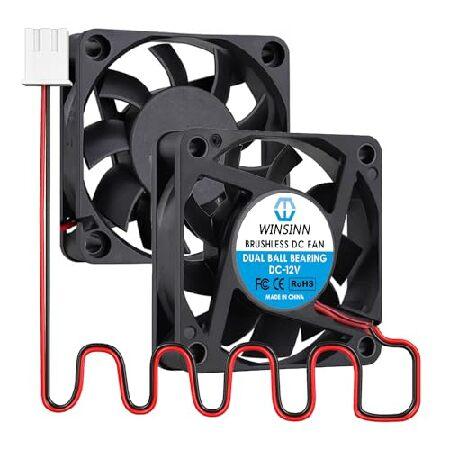 【並行輸入品】 WINSINN DC 60mm ファン 12V 6015 デュアルボールベアリングブ...