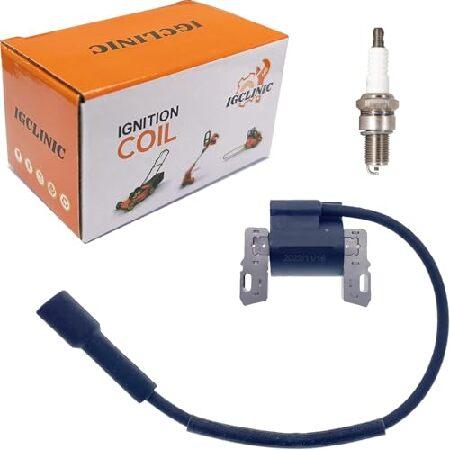 【並行輸入品】 IGCLINIC 595304 イグニッションコイル 440-433 ソリッドステー...