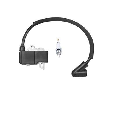 【並行輸入品】 INPWOC イグニッションコイル 交換用 545046701 530039224 ...