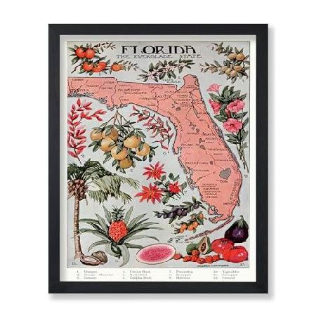 【並行輸入品】 Monem Art Florida Vintage Poster - Fruity ...