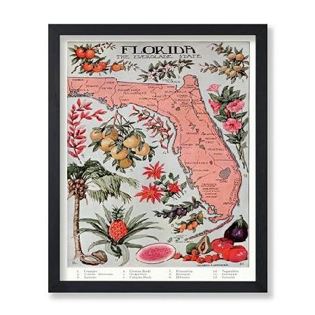 【並行輸入品】 Monem Art Florida Vintage Poster - Fruity ...