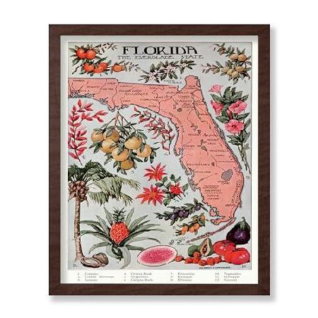 【並行輸入品】 Monem Art Florida Vintage Map Poster - Fru...