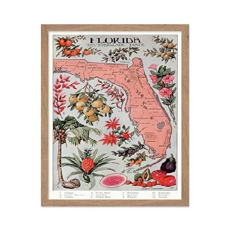 【並行輸入品】 Monem Art Florida Vintage Map Poster - Fru...