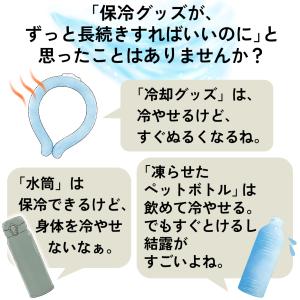 冷たさのカプセル 【 アイスコアボトル 】 T...の詳細画像3