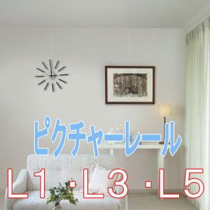 ピクチャーレール　トーソー　ピクチャーレール　Ｌ１(後付け用)　サイズオーダー　273〜300cm｜interia-kirameki