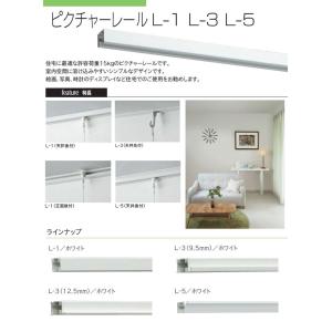 ピクチャーレール用ジョイント トーソー L1 ...の詳細画像1