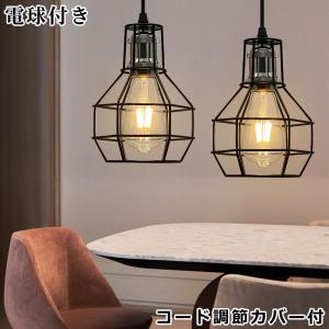 大光電機 大光電機(DAIKO) DPN-39817 GE ペンダント 楽調(調光器別売