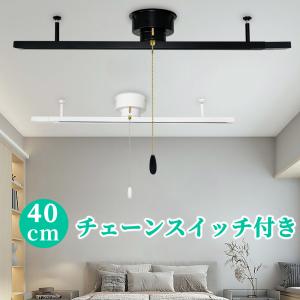 10本入り❗️ 大光電機 ダクトレール2m用直付専用 YLED-135