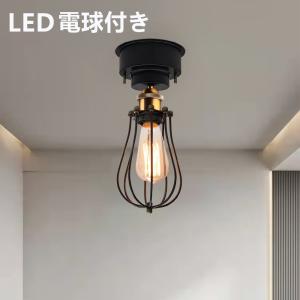 ODELIC】オーデリック シーリングファン CWJ9014LDR LED電球/照明器具