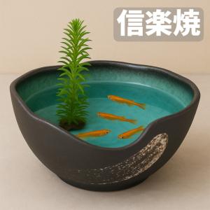 信楽焼 メダカ鉢 陶器 めだか鉢 おしゃれ 睡蓮鉢 大型 金魚鉢 和風