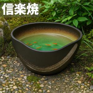 信楽焼 メダカ鉢 信楽焼き 陶器 睡蓮鉢 めだか鉢 和風 水鉢 水草鉢