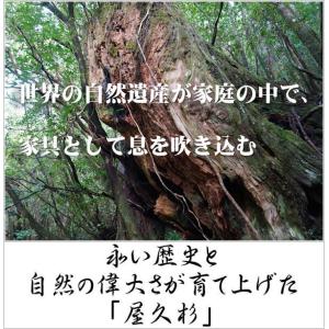 屋久杉 屏風 和風 衝立 木製 間仕切り おし...の詳細画像1