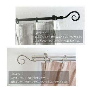 カーテンレール アイアン アイアン 2連ダブル カーテンレール ポール おしゃれ フック オーダー 3ｍまで 装飾カーテンレール