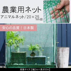 アニマルネット 網 防獣ネット 防鳥ネット 農業用ネット 害獣 防護 獣よけ 20×25mm目 既製サイズ 幅2ｍ×長さ50m JQ｜interior-depot