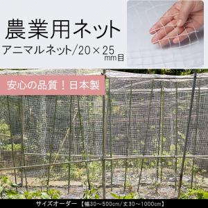 ネット 網 防風ネット 農業用ネット 園芸用 9mm目 オーダー 幅210