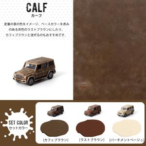 車 塗料 全塗装 自分で DIY ペンキ カー...の詳細画像5